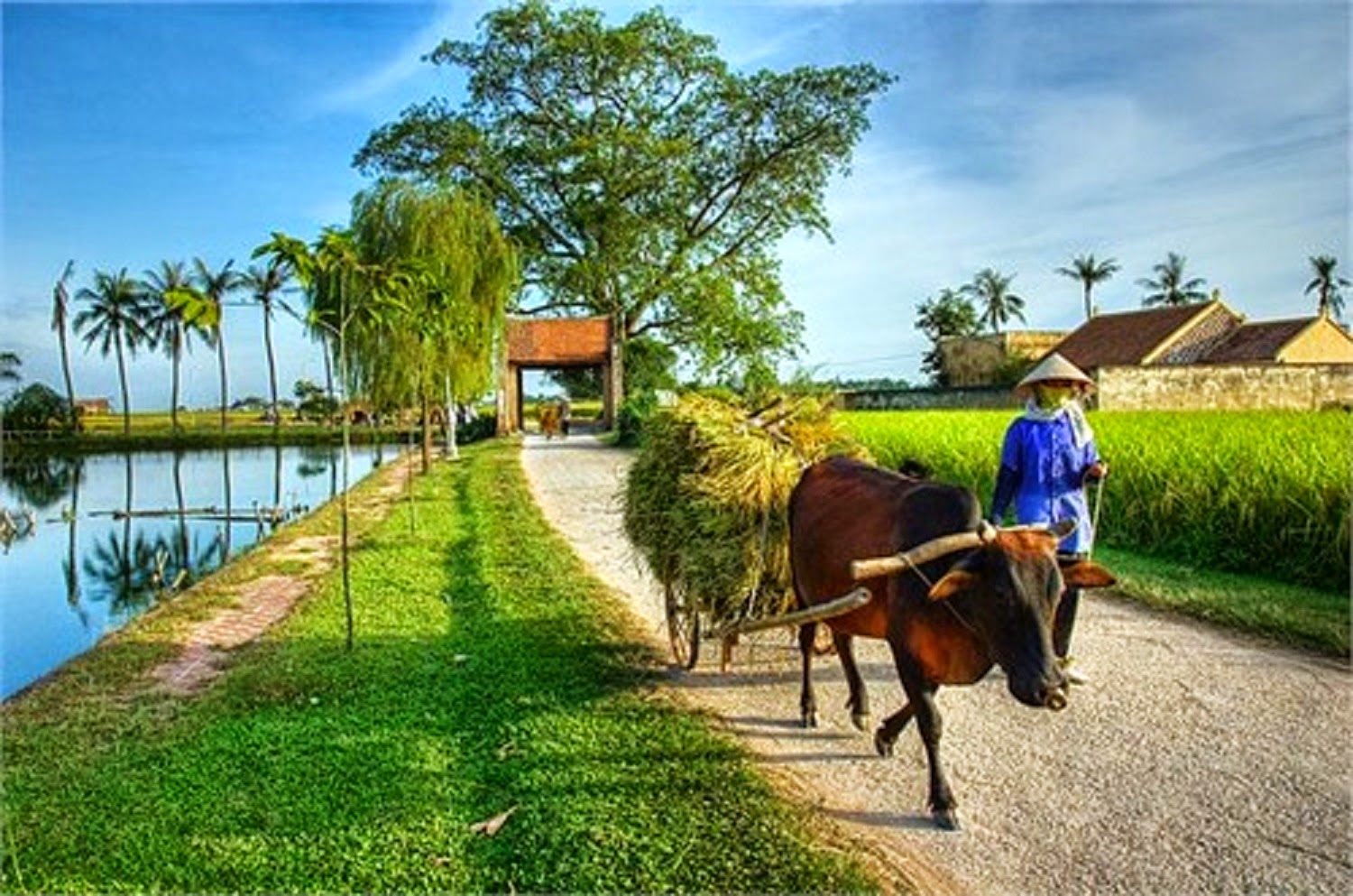 Chùm thơ lục bát của Nguyễn Thế Kiên